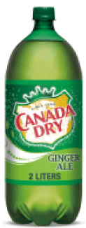 Canada Dry Dt Ginger Ale 12pk Can - Food Fair